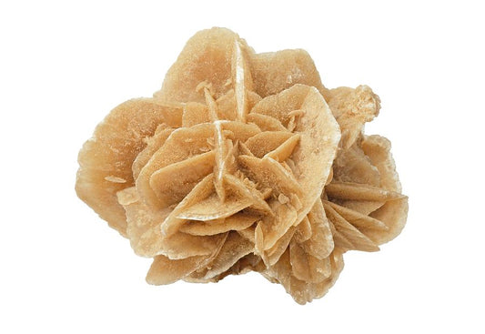 Desert Rose