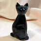 Golden obsidian Cat