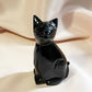 obsidian Cat